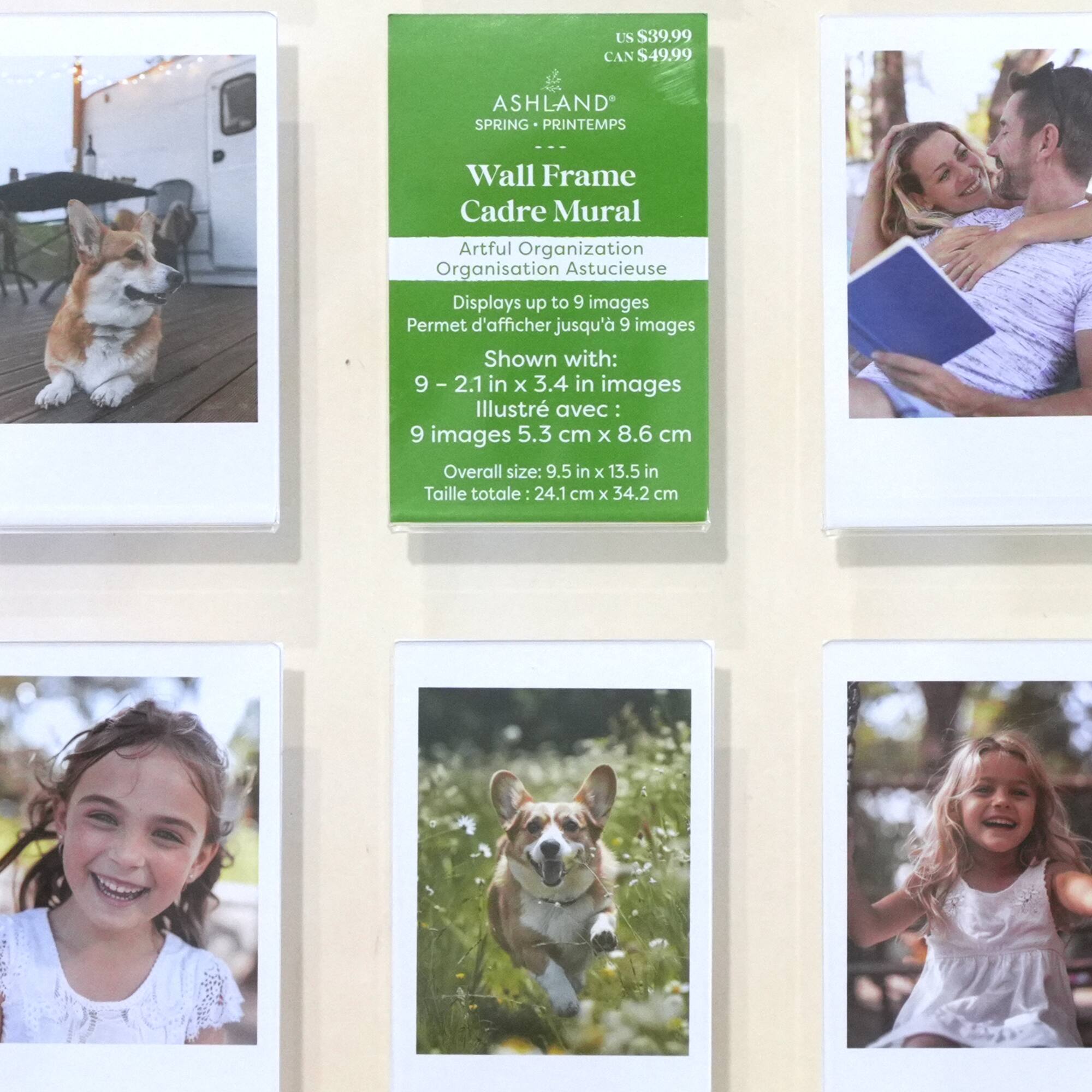 Acrylic Box Float Wall Frame by Ashland®